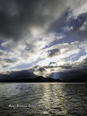 IMG_1993_72