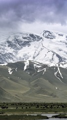 DSC_6079_72
