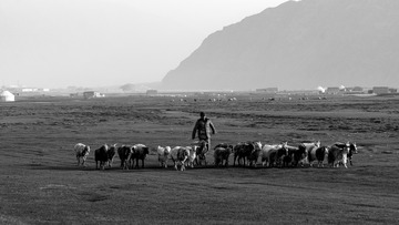 DSC_6219_72
