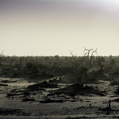 DSC_6974_72