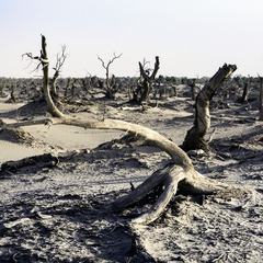DSC_6975_72