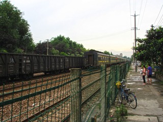 IMG_0596D