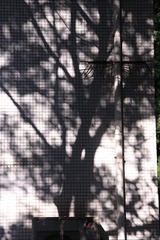 320618