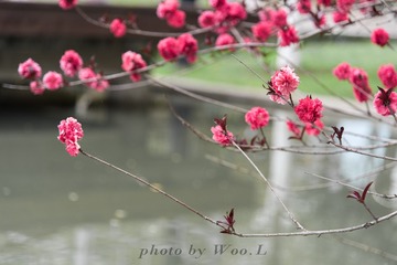 LEO_0032