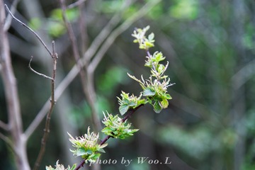 LEO_0070