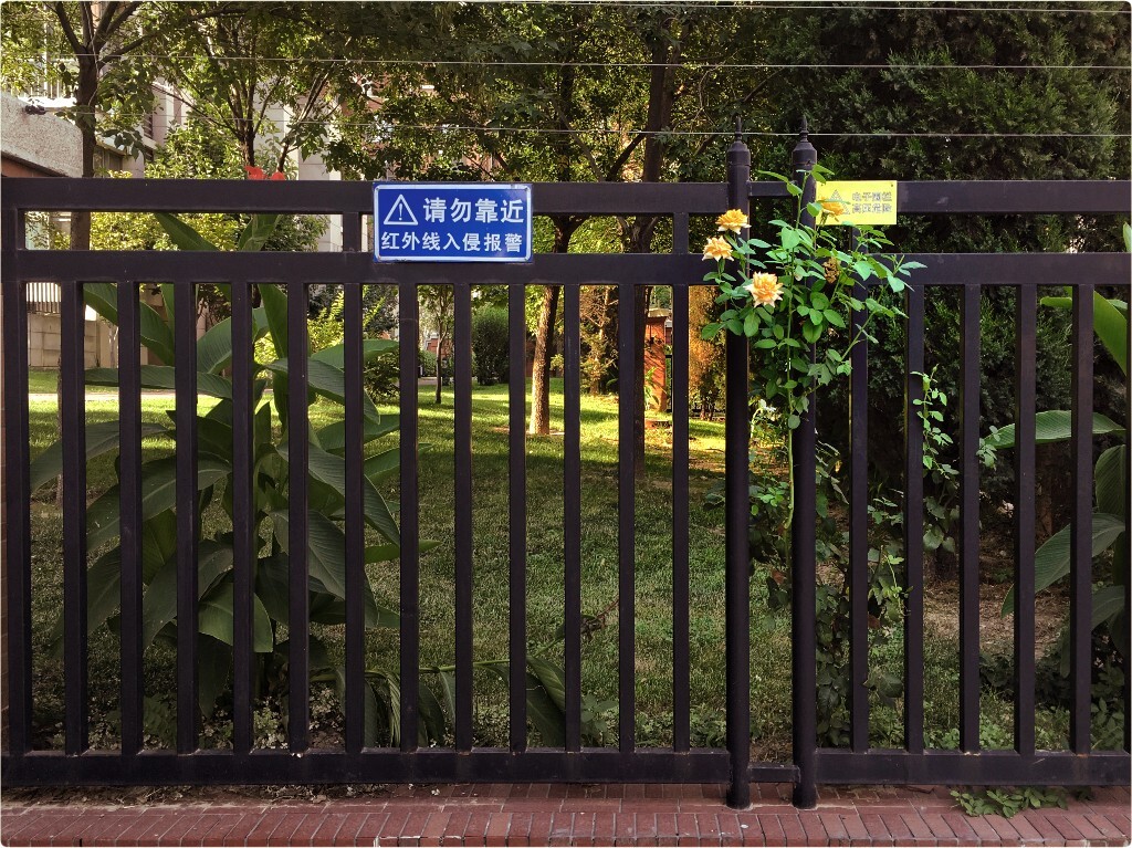 【手機隨拍】•《鎖春》<br />
一邊縱容花兒透出牆外使壞<br />
一邊霸佔滿園春色禁止入內<br />
是故意還是炫耀？<br />
到底虛榮和不安全感在作祟……
