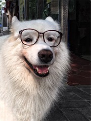 《優雅》