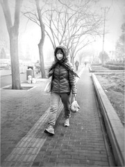 《埋不住的路》