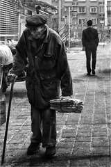 《我在你身後》