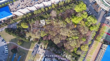 DJI_0069