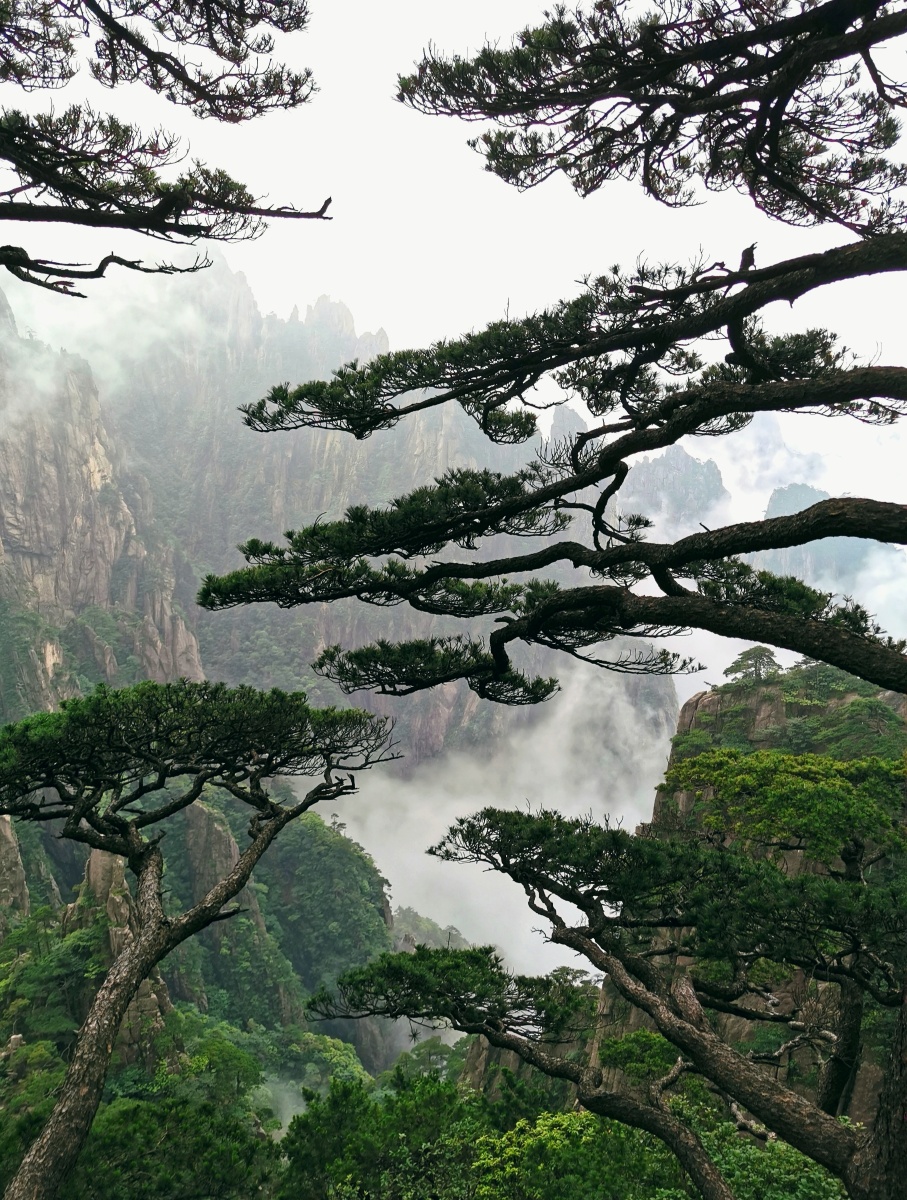 黄山风景区西海大峡谷