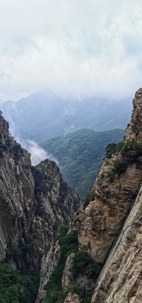 嵩山.三皇寨景区 - 割麦狮0708