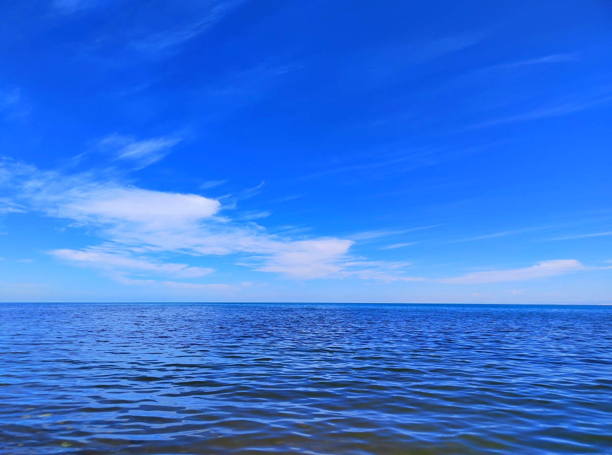 青海湖 - 割麦狮0708