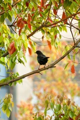 DSC01613_cr