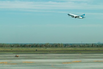 SDIM1001_cr