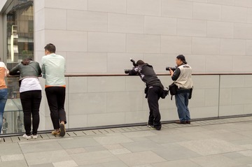 DSC01230_cr