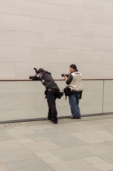 DSC01230_cr_cr
