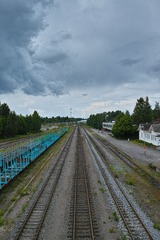 DP1M2194