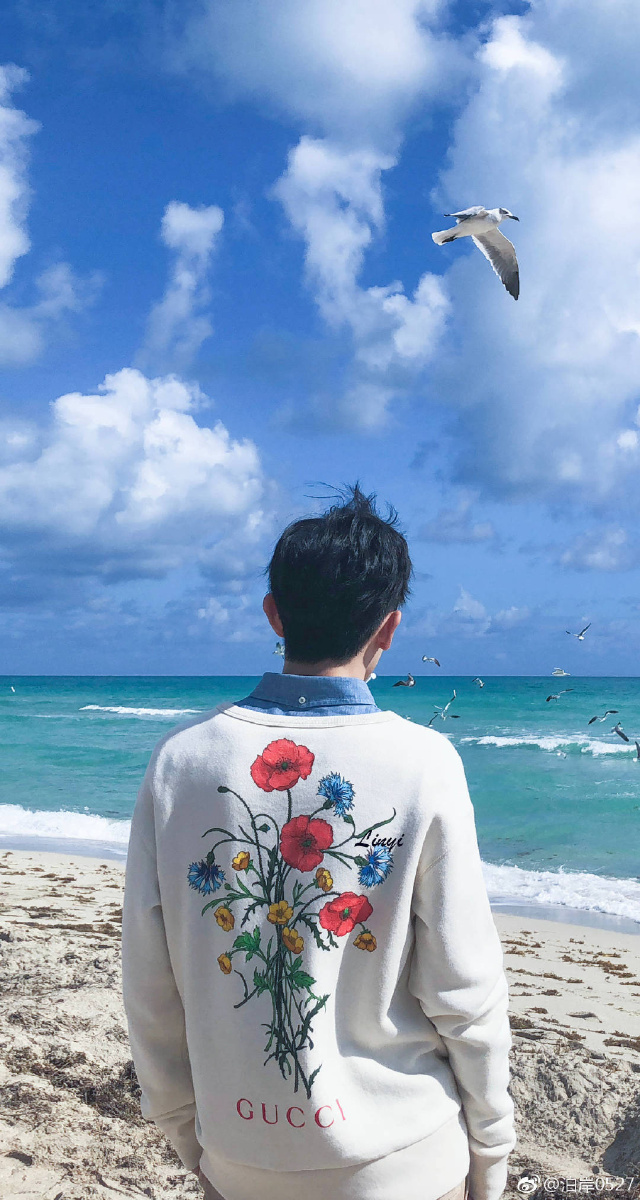 我喜欢一个律师他叫李云恺我喜欢一个花艺师他叫柏海