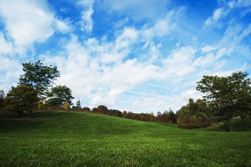 _DSC6254