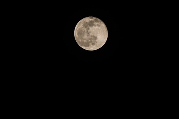 _DSC0888