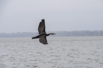 _DSC1358