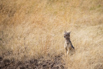 _DSC2605