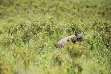 _DSC1764