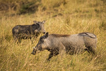 _DSC3111