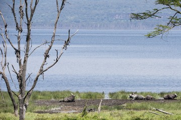 _DSC1465