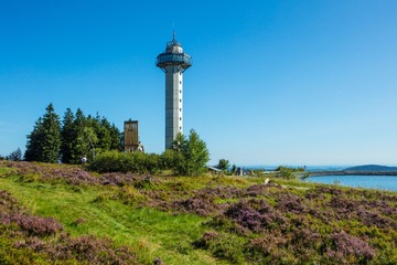 _DSC1416