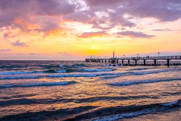 _DSC2956