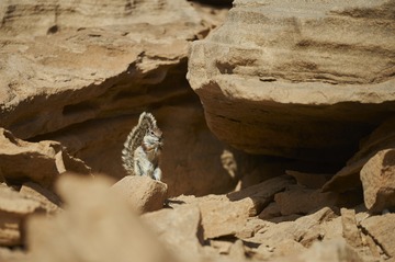 _DSC3210