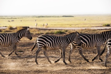 _DSC0704