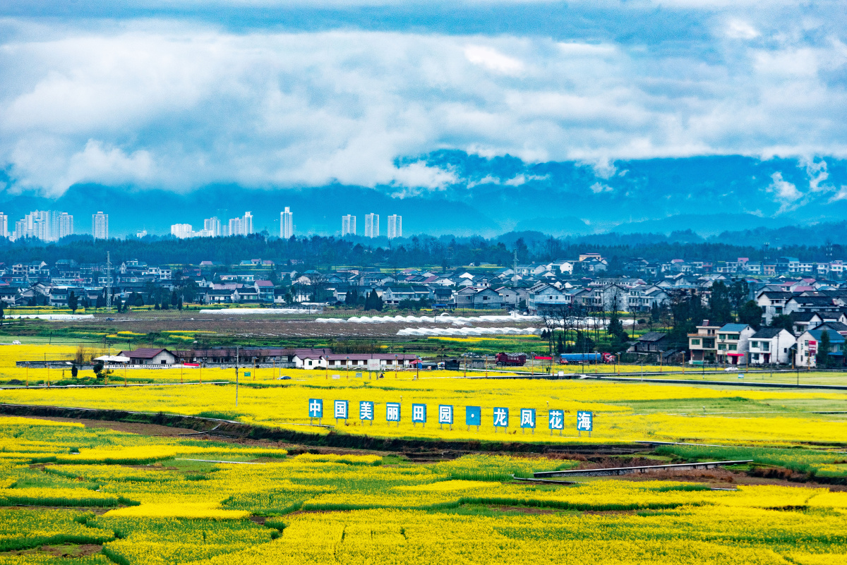 三月,花开.#油菜花开##重庆秀山龙凤花海# - 阿澄 - 图虫