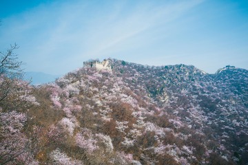 L1000869