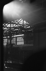 _GAO5037