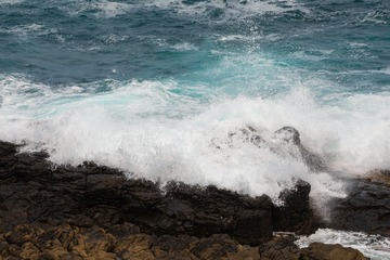 2I1A1386_1