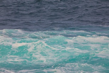 2I1A1462_1
