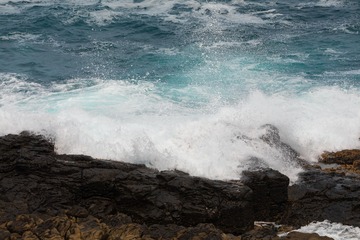 2I1A1384_1