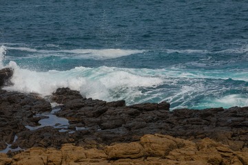 2I1A1414_1