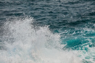 2I1A1561_1