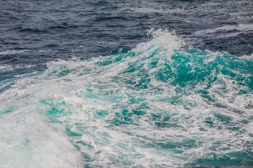 2I1A1546_1