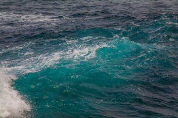2I1A1552_1