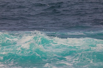 2I1A1463_1