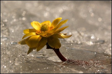DSC09628_