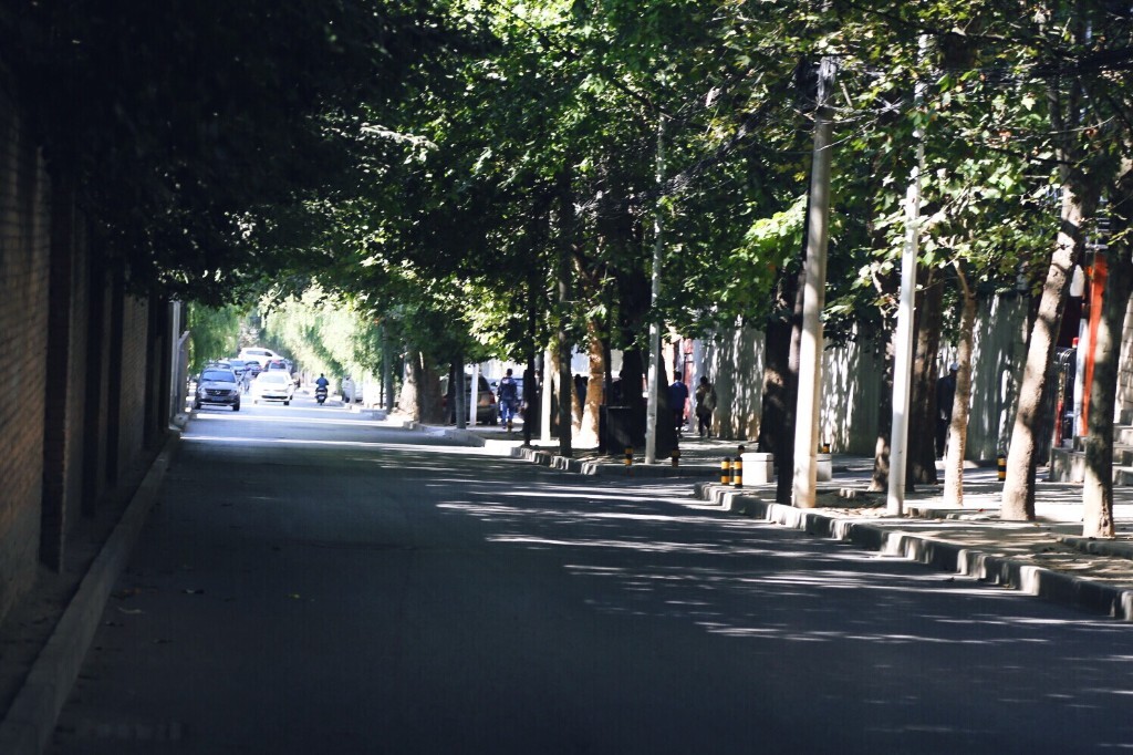 时间慢慢倒退<br />
回到高中时代的某个夏日<br />
从我身边走过穿蓝裙子的女孩 <br />
踏着绿阴向前<br />
<br />
光透过树的缝隙打在她脸上<br />
害羞而又期待的眼睛<br />
就想留在这个时刻<br />
留住光影 温柔  景色<br />
和人<br />
 <br />
<br />
<br />
<br />
<br />
