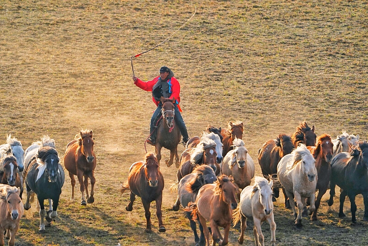 跑马溜溜的山上
