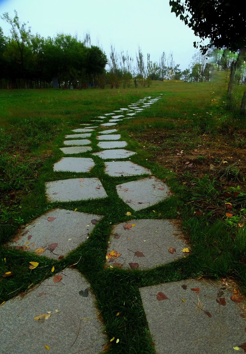 温榆河湿地公园的小路