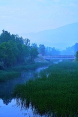 DE074D36-98D8-4573-A559-A58DC283DDE3/L0/001
